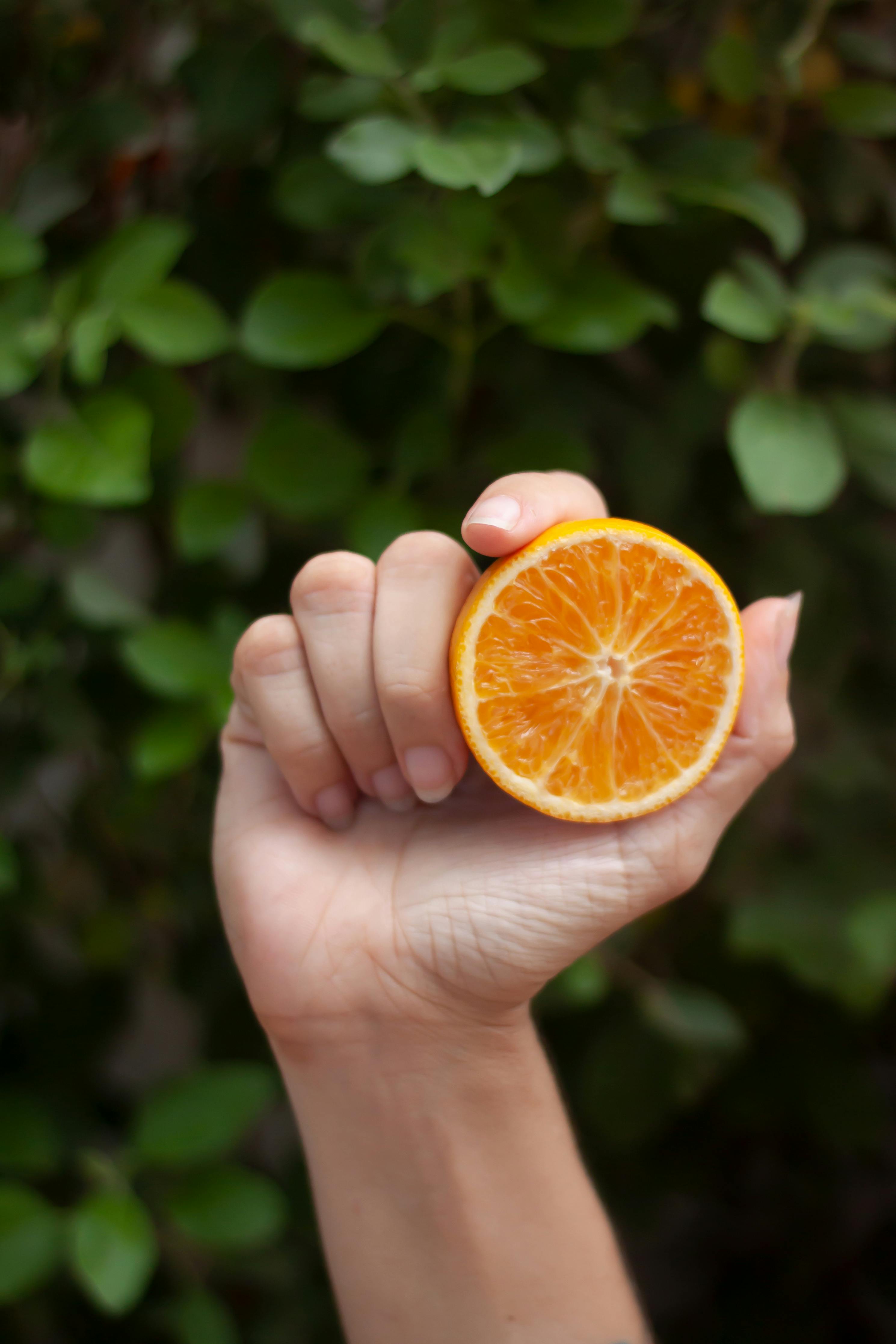 close up shot of a person holding a slice of orange