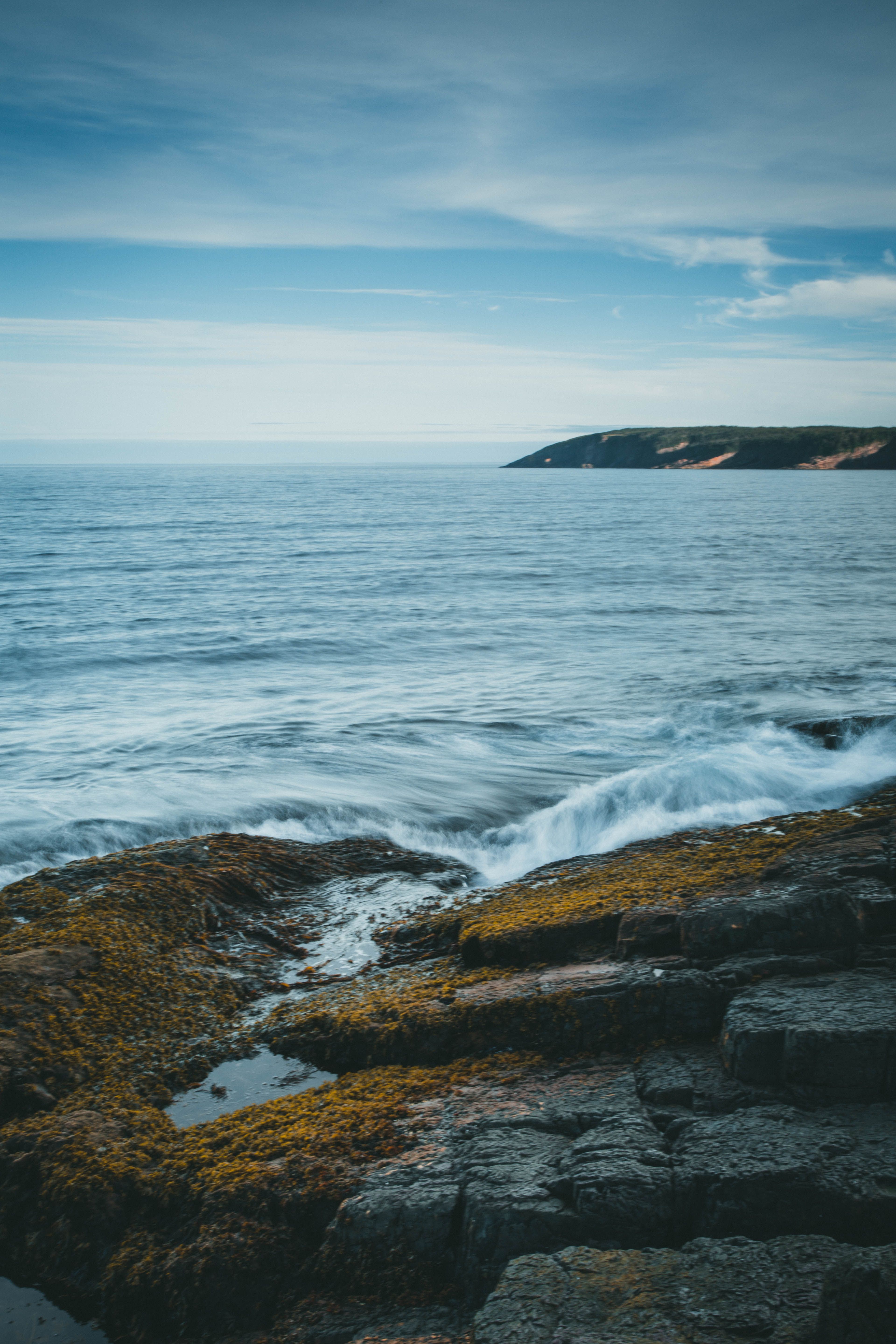 Rocks on the Beach · Free Stock Photo