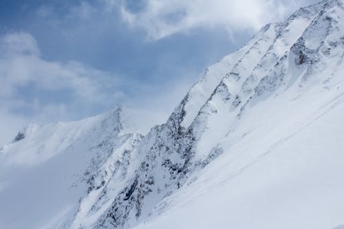 大雪覆蓋, 天性, 景觀 的 免費圖庫相片
