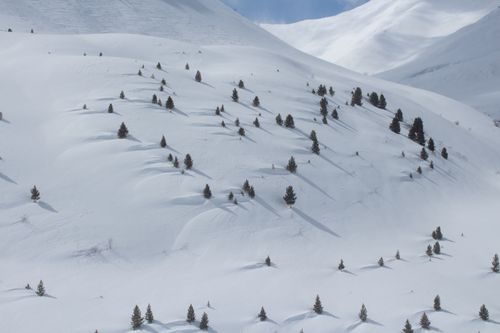 Free Scenic winter mountain landscape with snow and scattered evergreen trees. Stock Photo