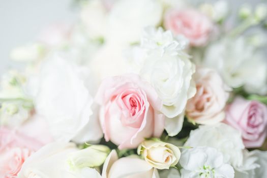 Exquisite close-up of pink and white roses, showcasing delicate petals and vibrant colors.