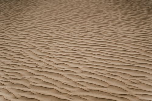 Patterns on Desert Sand