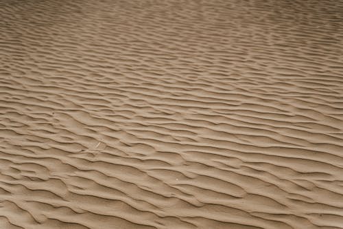 Free Patterns on Desert Sand Stock Photo