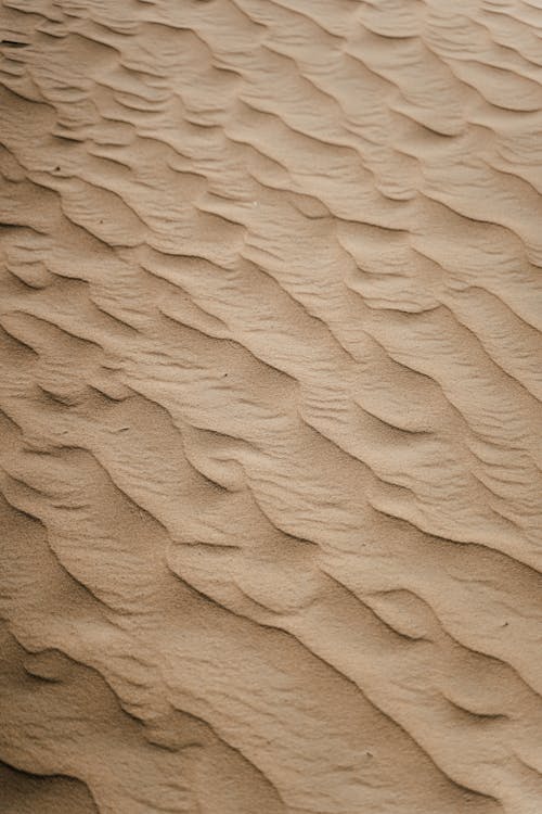 Foto stok gratis bukit pasir, di luar rumah, dubai