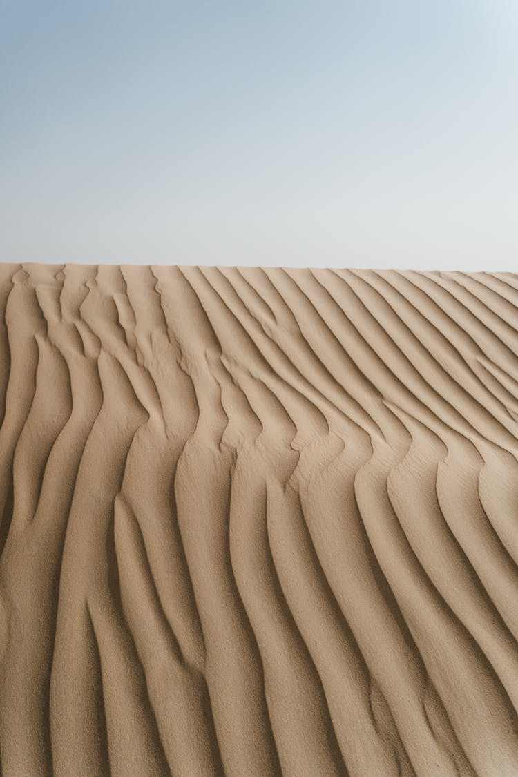 Sand Dunes On A Desert