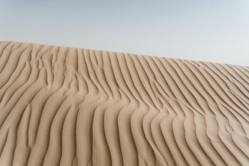 Sand Dunes on a Desert