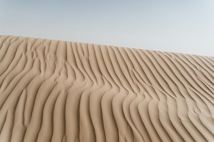 Sand Dunes On A Desert