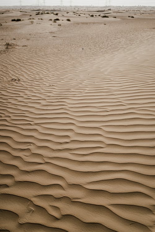 Sand Dunes in Arid Land