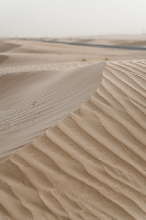 Free Sand Dunes on a Desert Stock Photo