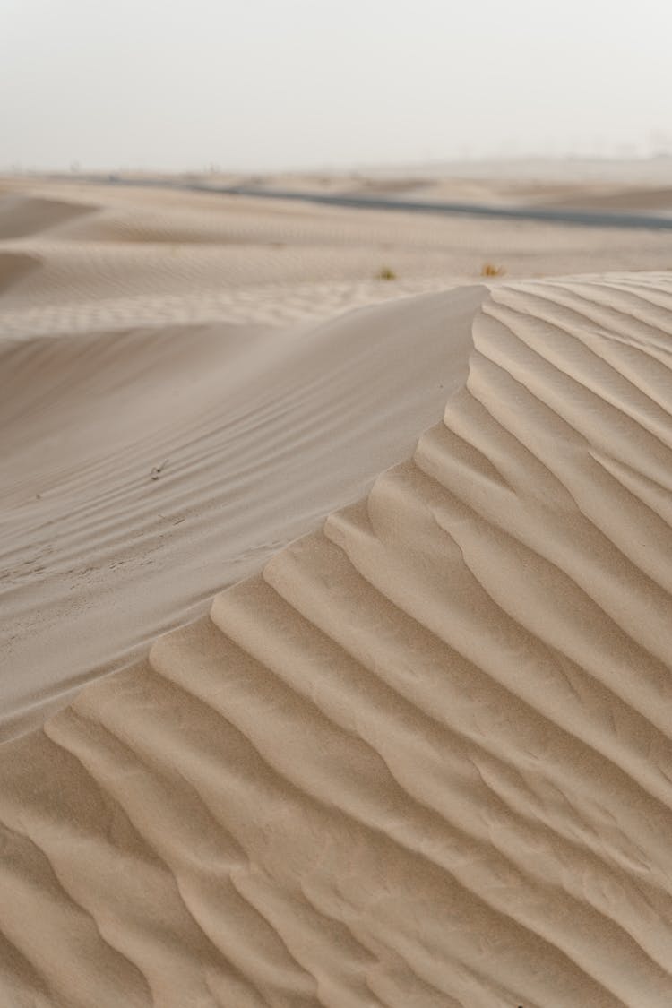 Sand Dunes On A Desert