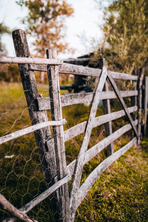 Free Weathered wooden fence with rustic charm against a grassy rural backdrop, emphasizing nature and texture. Stock Photo