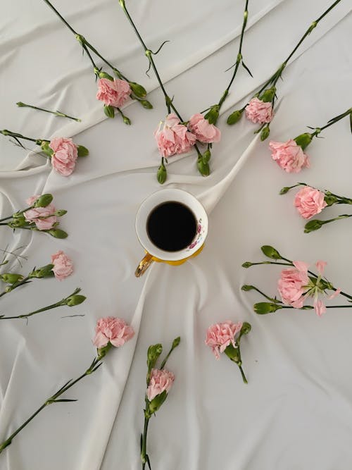 Gratis arkivbilde med blomster, espresso, flatlay