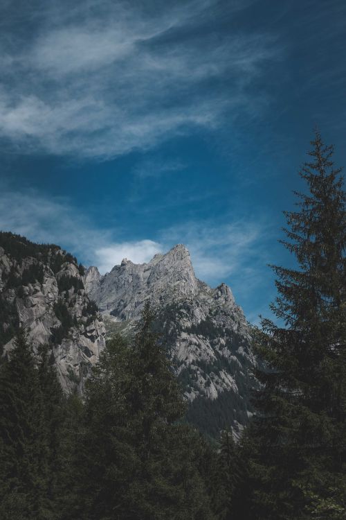 Free Stunning view of rocky mountain peaks surrounded by lush trees and a vibrant blue sky. Stock Photo