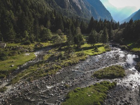 Captivating aerial shot of a lush forest and meandering mountain stream in daylight.
