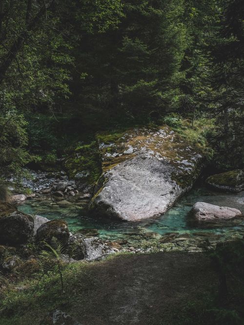 Free A tranquil forest scene featuring a clear stream flowing over moss-covered rocks surrounded by trees. Stock Photo