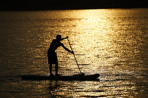 Silhouette of Person Using a Paddle Board