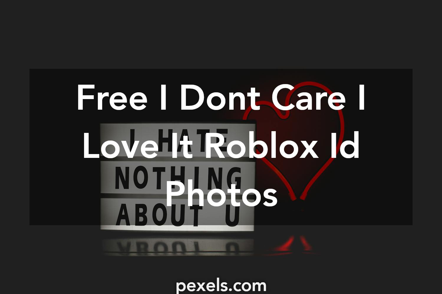 meltedway roblox profile