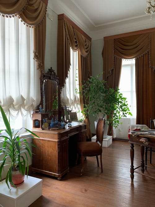 Δωρεάν στοκ φωτογραφιών με γλάστρες με φυτά, γραφείο, δωμάτιο