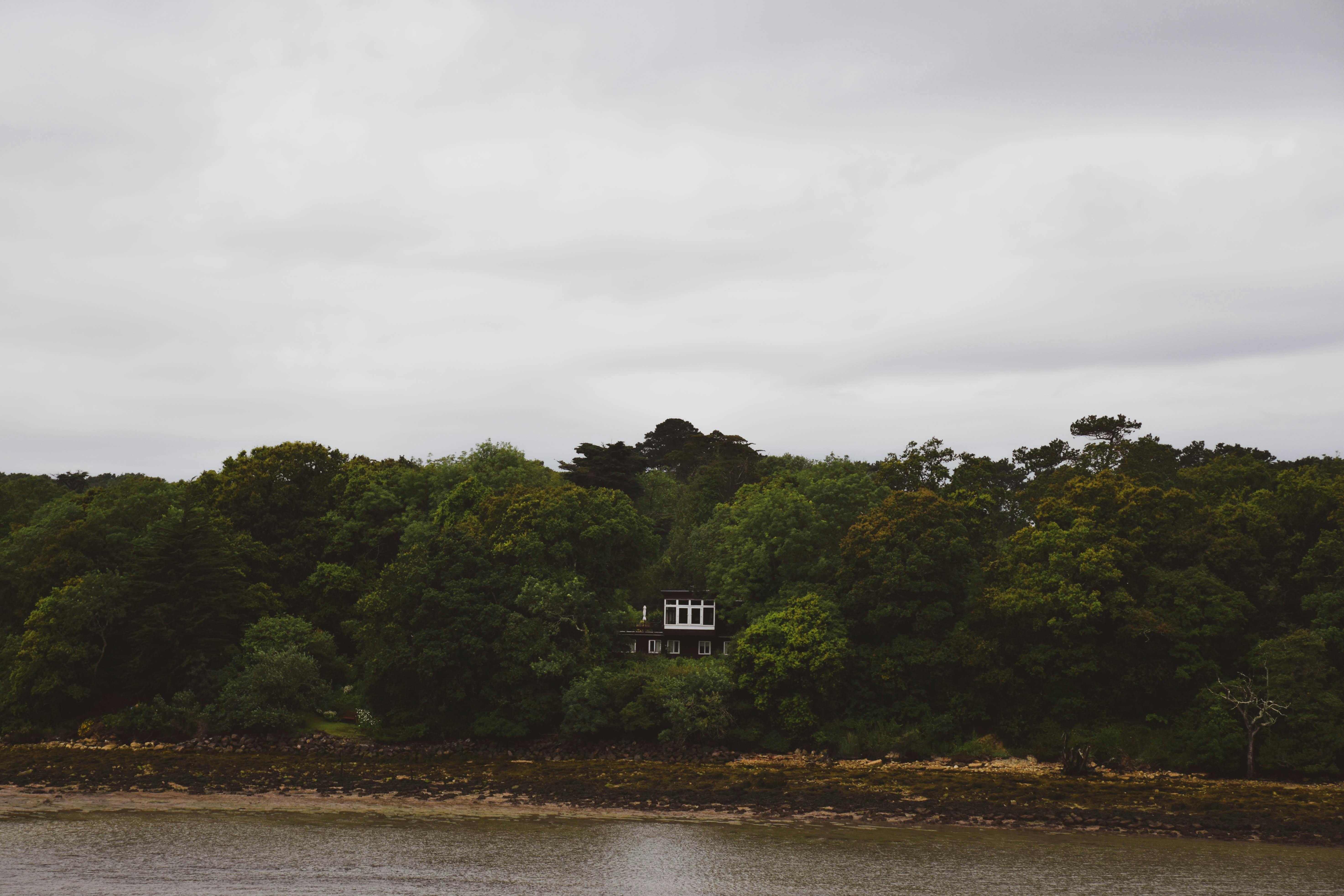 Inside Voysey House – the archival home of Sanderson Design Group — Photo by Lucy Meadows on Pexels