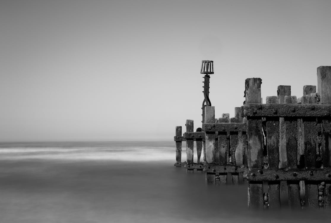 Free stock photo of coastal, groyne, monochrome