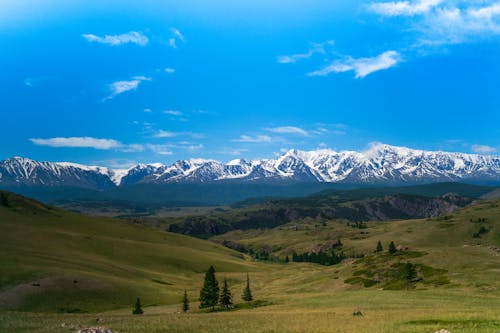 Grassland Near Snow Covered Mountains