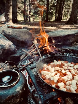 Outdoor campfire cooking in a forest setting in Osmangazi, Turkey, featuring a pan on the fire.