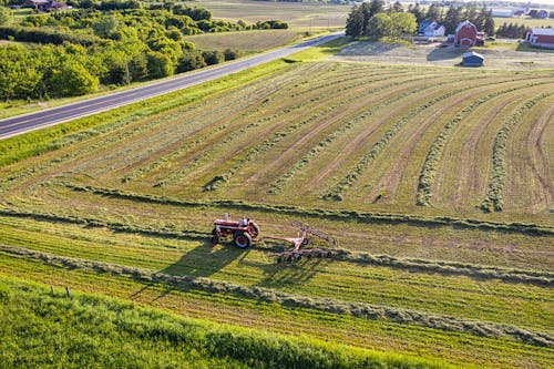 Foto profissional grátis de aerofotografia, agricultura, área