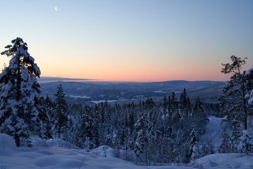 Free Snow-covered forest in Krøderen, Norway with crescent moon at sunset, capturing the serene beauty of winter. Stock Photo