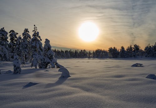 Free Photograph of White Snow Covering the Ground  Stock Photo