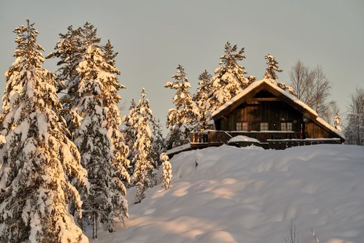 A charming cabin surrounded by frosty trees and snow in a peaceful winter setting.