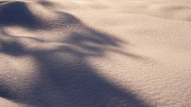 Captivating snowy scene with soft shadows creating a tranquil winter atmosphere.