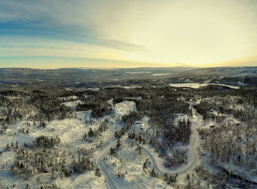 Immagine gratuita di alberi, fotografia aerea, freddo