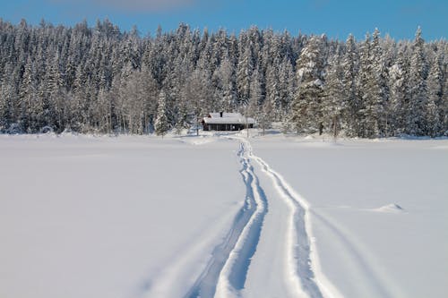 Kostenloses Stock Foto zu bäume, bungalow, fährte