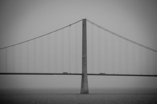 Gray Image of a Suspended Bridge