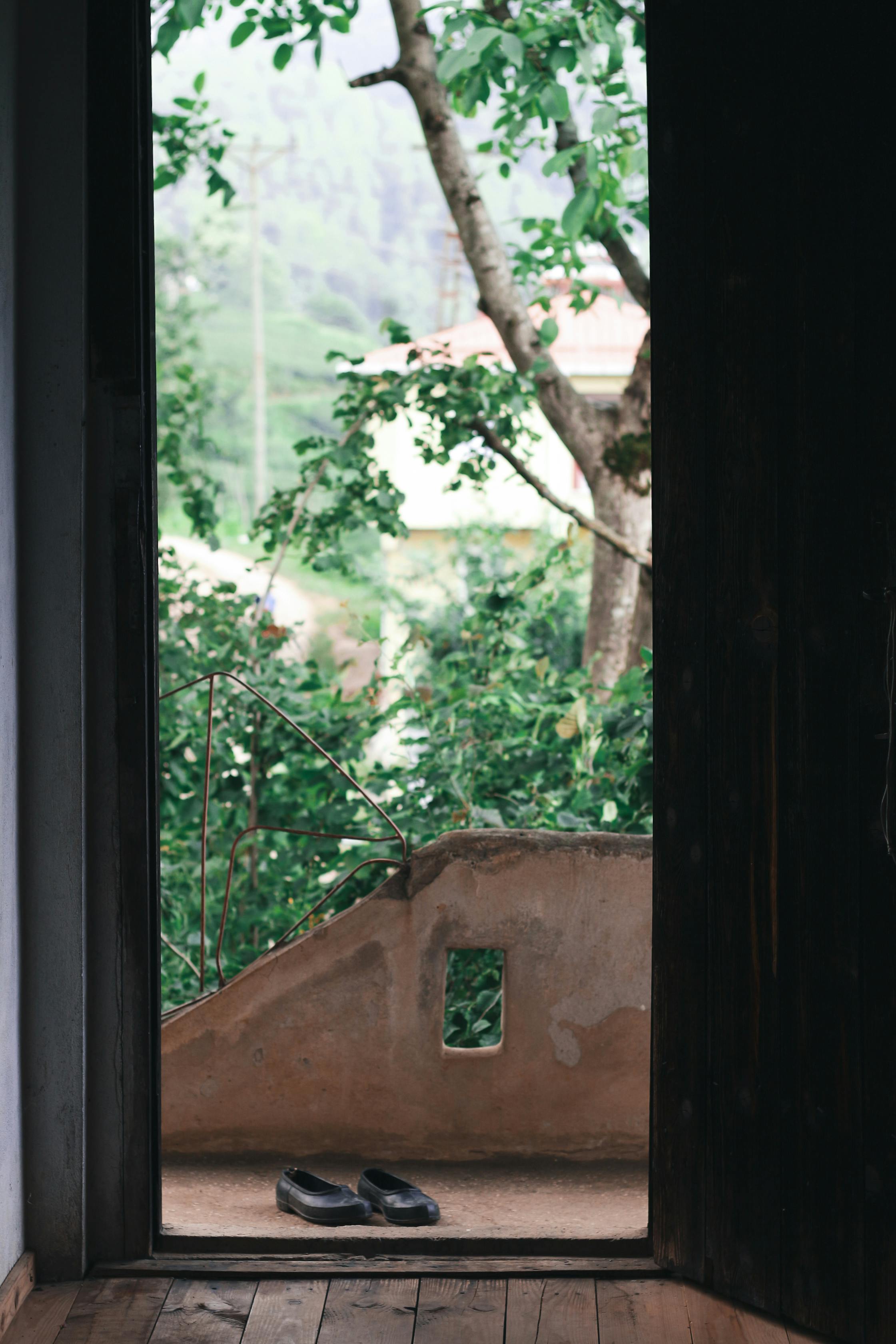 Serene view through an open doorway showing a garden and a pair of shoes on wooden flooring.