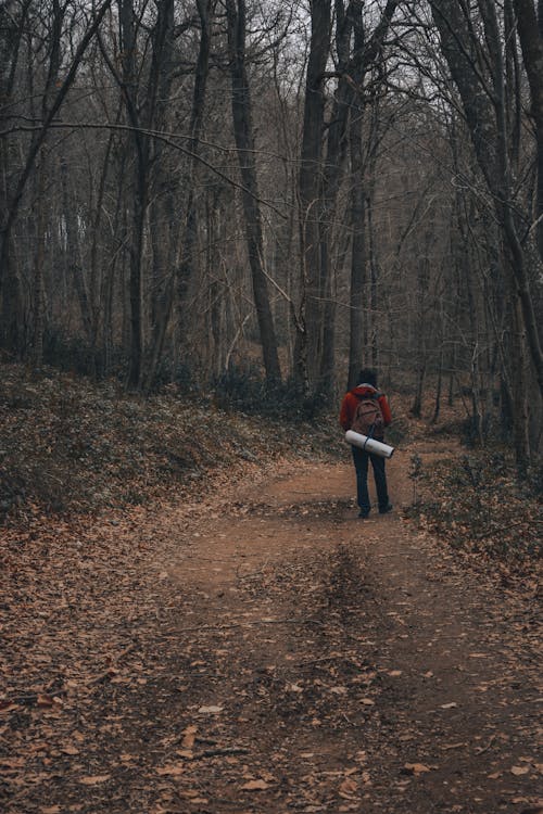 Photograph of a Person Walking Near Leafless Trees