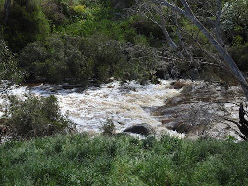 急流, 河, 洪水 的 免费素材图片