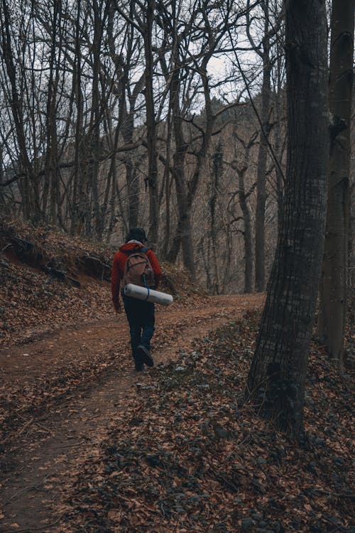 Person Walking in the Woods