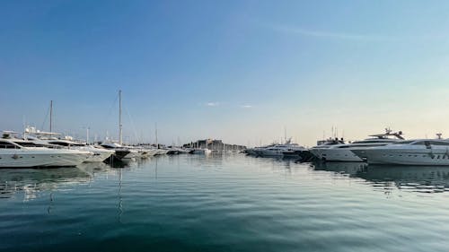 White Luxury Yachts Docked in a Port