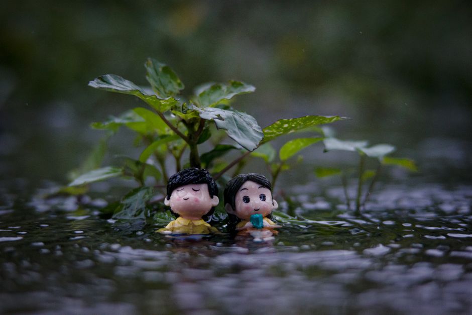 Two toy figurines in a puddle with a plant in the rain, evoking a serene mood.
