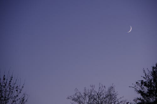 Free stock photo of crescent moon Stock Photo