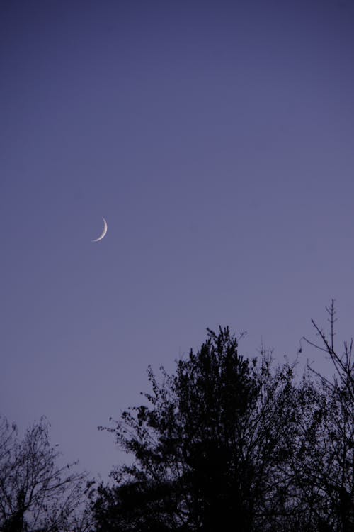 Free stock photo of crescent moon