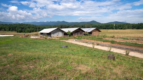 Abandoned Barns in Countryside