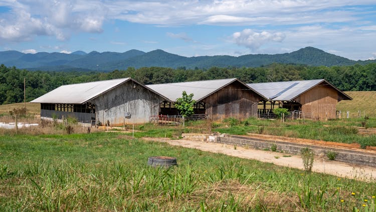 Barns At A Farm