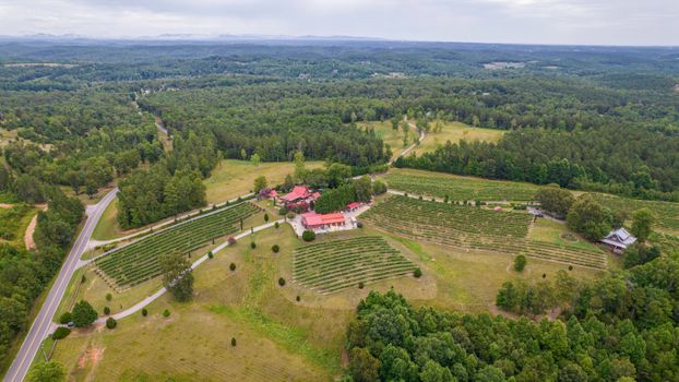 Aerial view of a vineyard in rural North Carolina, showcasing lush greens and sprawling landscapes.