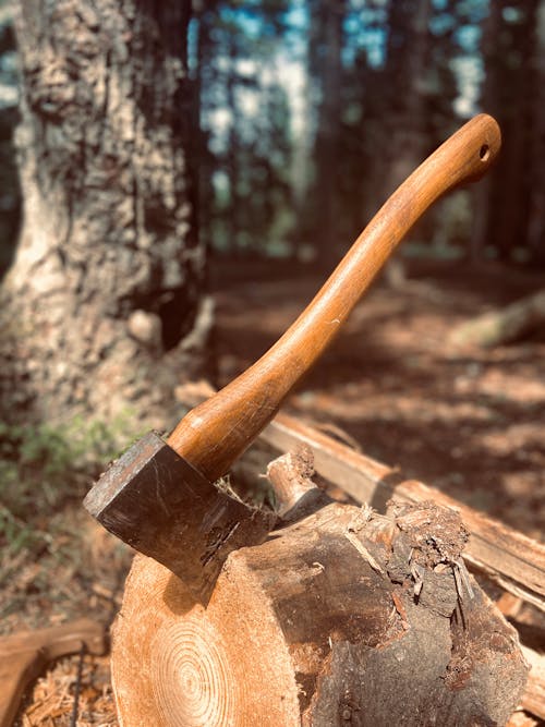 Photo of an Axe on a Log