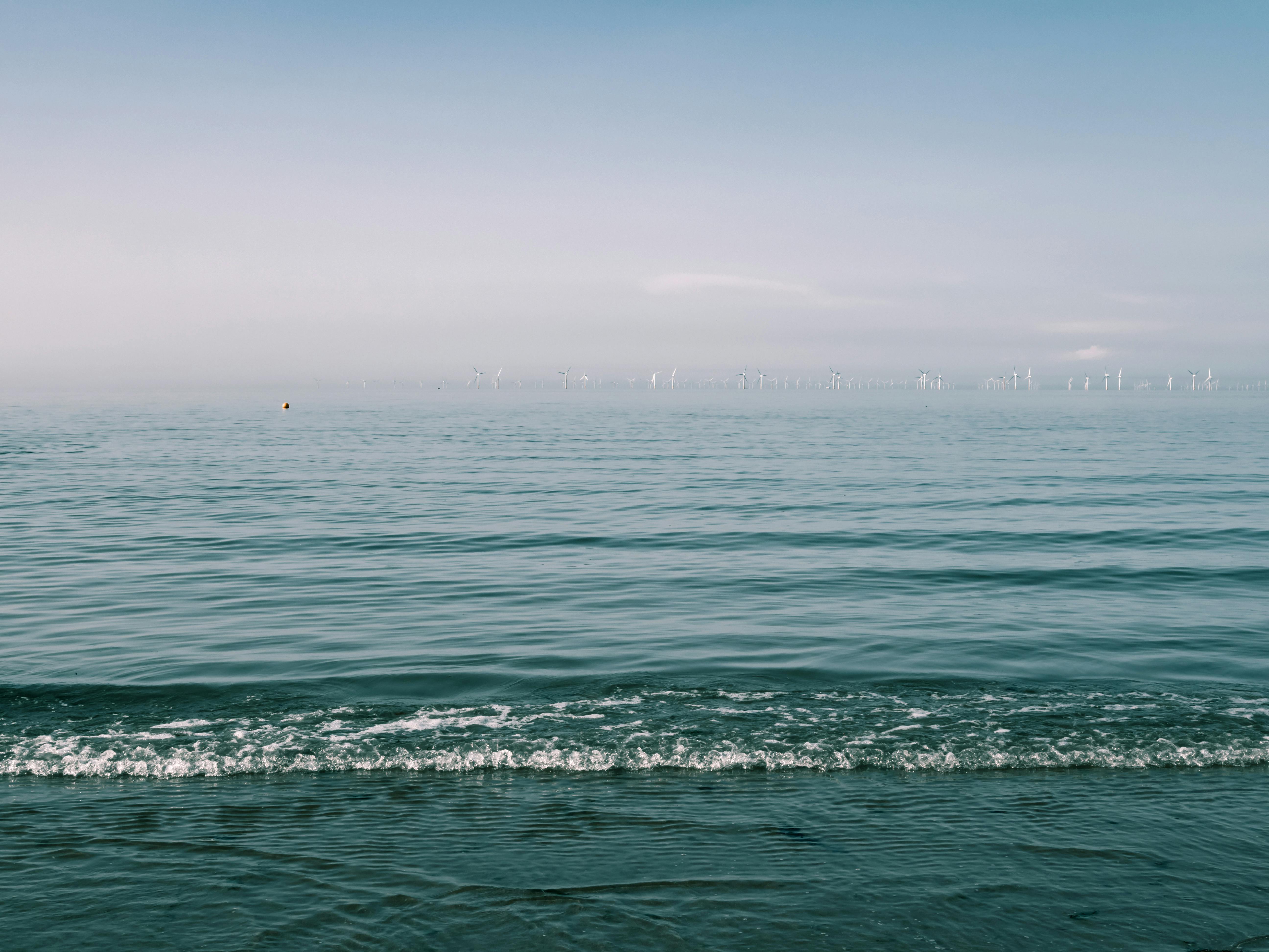 Insurance data scientist analyzing predictive underwriting dashboard