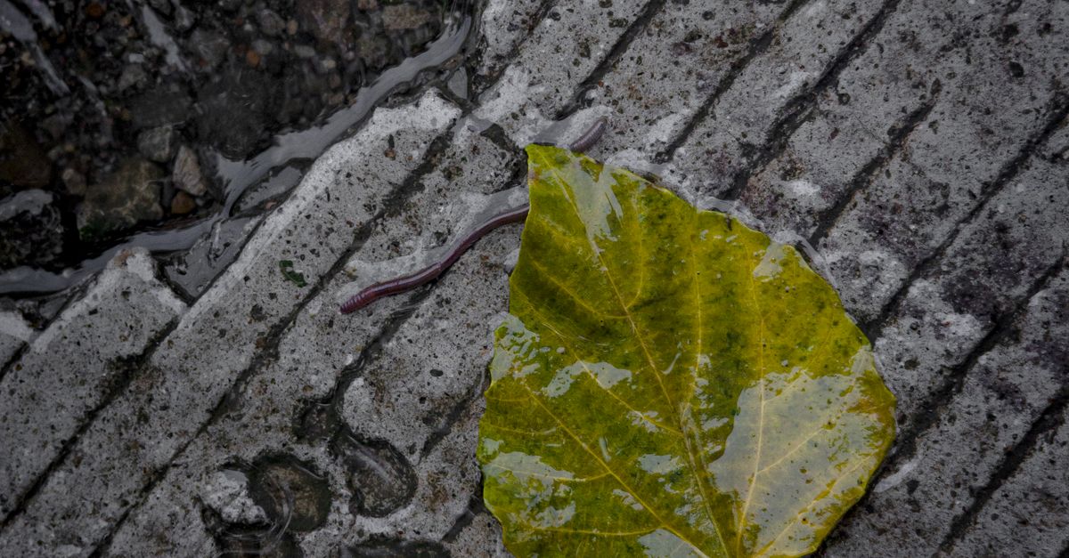 Las 8 industrias que más han reducido su huella ambiental en el último siglo Las 8 industrias que más han reducido su huella ambiental en el último siglo