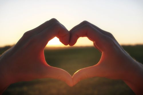 Free stock photo of hands, heart, nature Stock Photo