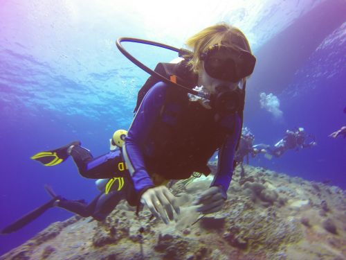 Free Thrilling underwater scene with scuba divers exploring vibrant coral reefs. Stock Photo